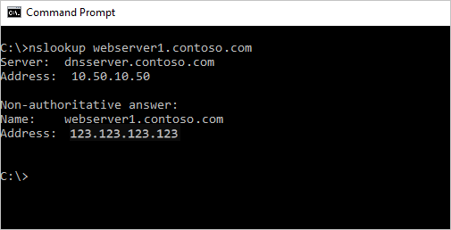 パブリック IP についての cmd での nslookup のスクリーンショット。