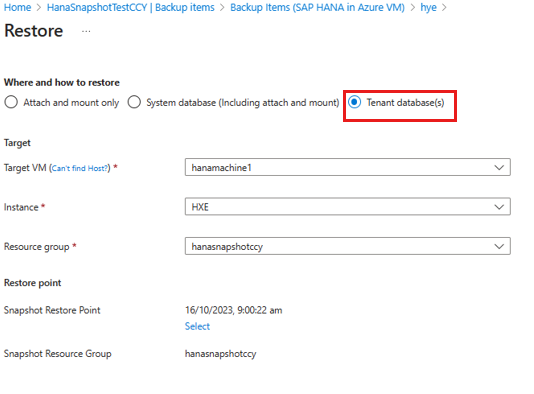 Screenshot shows how to start restoring tenant database to target VM.