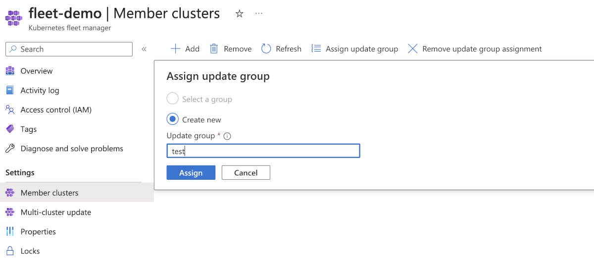 メンバー クラスターのグループを更新するためのフォームが示されている、メンバー クラスターに関する Azure portal のページのスクリーンショット。