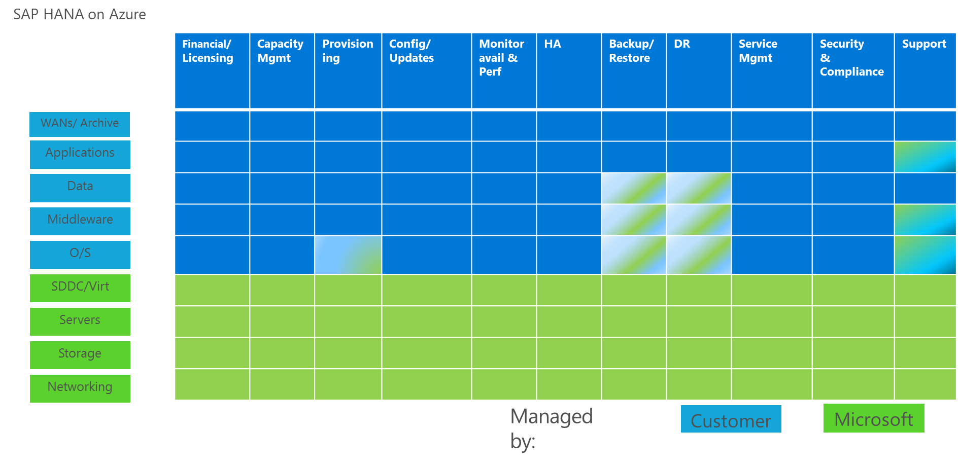 SAP HANA on Azure (L インスタンス) の責任