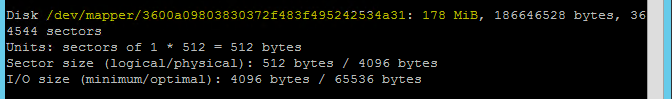 fdisk コマンドの結果が表示されたコンソール ウィンドウを示すスクリーンショット。