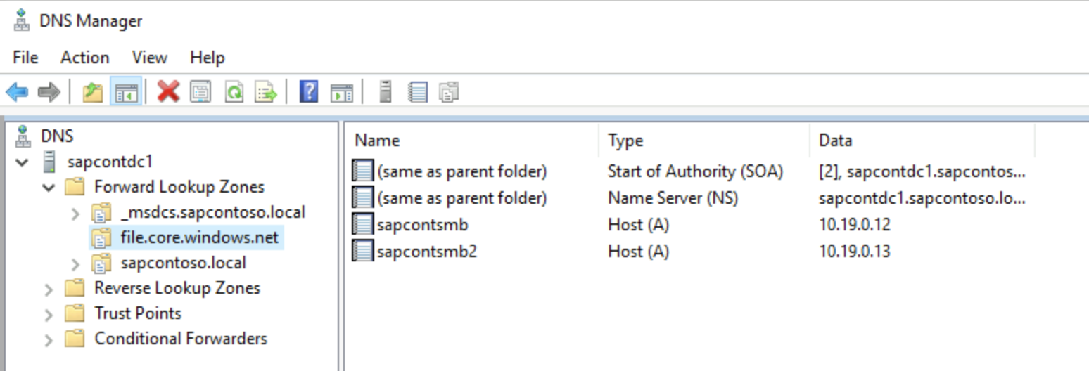 Screenshot of DNS Manager that shows private endpoint DNS definition.