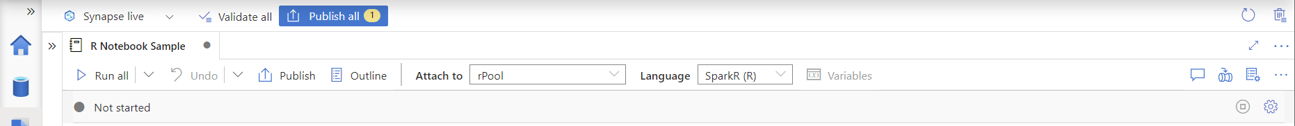 R 言語オプションのスクリーンショット。