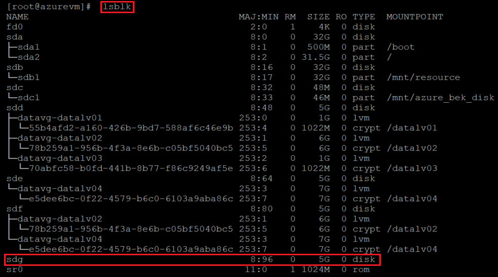 Screenshot showing the code that checks the disk list by using l s b l k. The command and the result are highlighted.