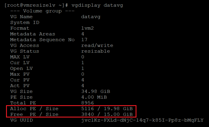 Screenshot showing the code that checks information for the volume group. The result is highlighted.