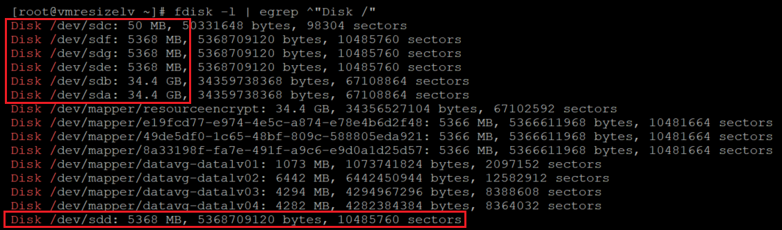 Screenshot showing the code that lists the disks. The results are highlighted.