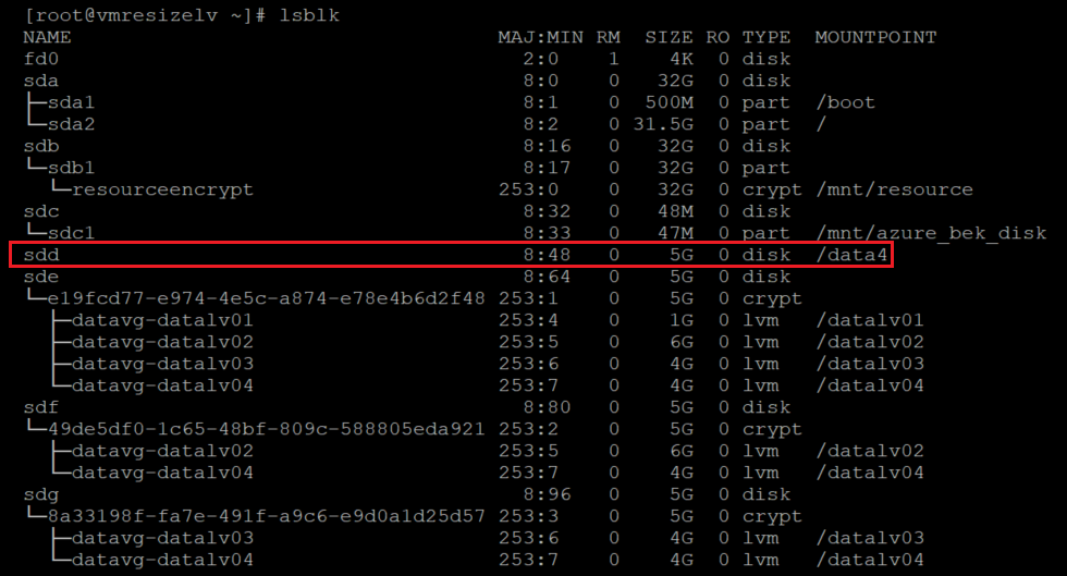 Screenshot showing additional code that verifies that the file system is mounted. The result is highlighted.