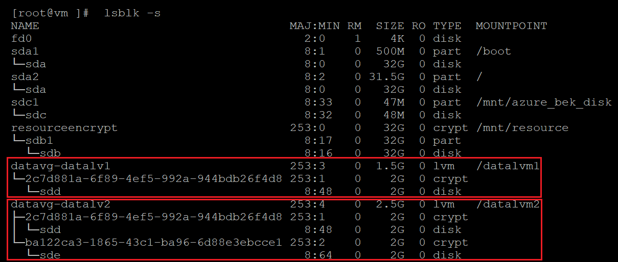 Screenshot showing alternative code that identifies the encrypted disks. The results are highlighted.