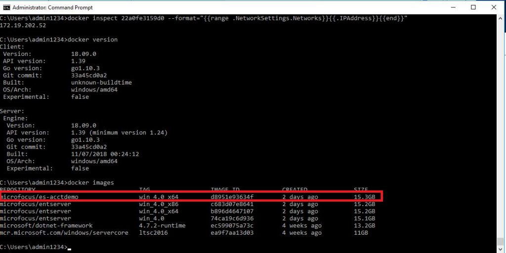 es-acctdemo イメージが表示されているコマンド ウィンドウ