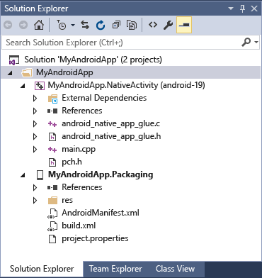 Native Activity project in Solution Explorer.