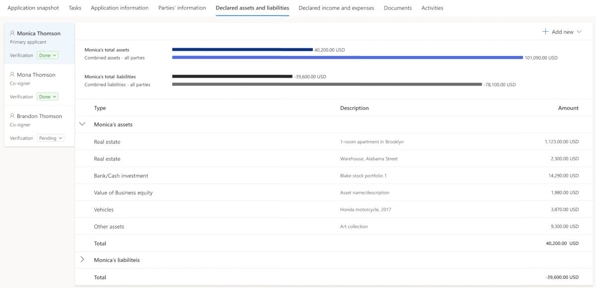 Screenshot of the Declared assets and liabilities tab.