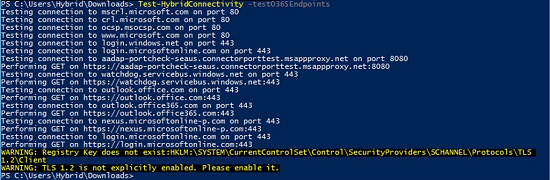 Test-HybridConnectivity のサンプル出力。