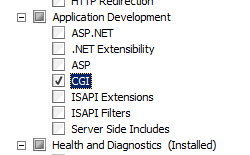 Screenshot of the Add Role Services Wizard navigation tree. C G I is selected and highlighted.