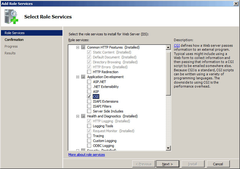 Windows Server 2008 インターフェイスで選択された C G I のスクリーンショット。