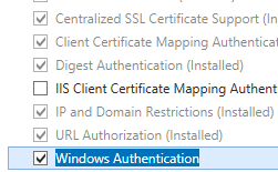スクリーンショットは、Windows 認証が選択された状態で展開された [Web サーバーとセキュリティ] ウィンドウを示しています。