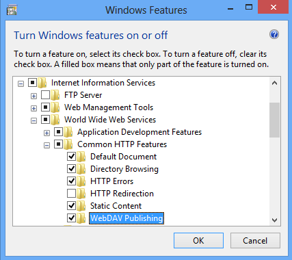 Windows 8 で選択された Web DAV 発行を示すスクリーンショット。