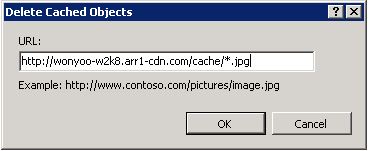 [キャッシュされたオブジェクトの削除] ダイアログの wildchar パターンを持つ U R L を示すスクリーンショット。