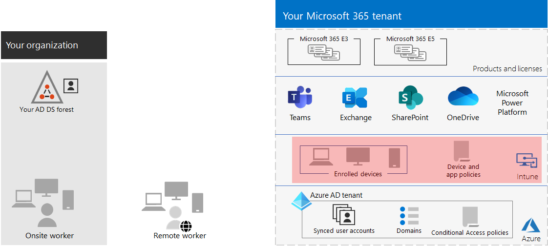 Intune デバイスとアプリ管理を使用したテナントの例。