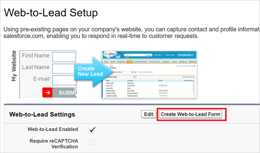 Salesforce の [Web-to-Lead Setup]\(Web-to-Lead のセットアップ\)