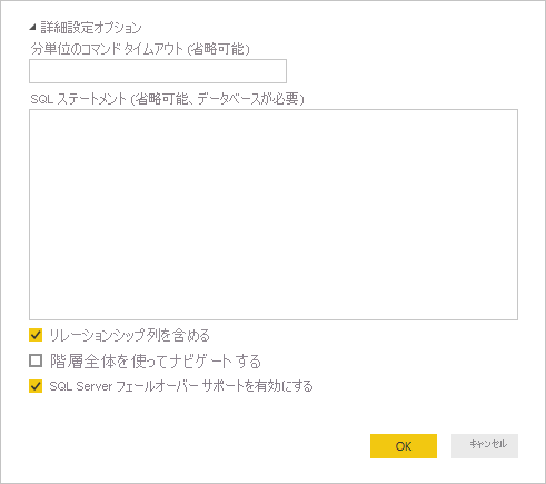 SQL Server の詳細オプションのスクリーンショット