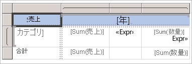 Screenshot of the expression default format.