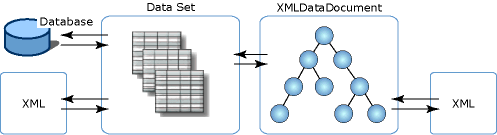 XML データセット