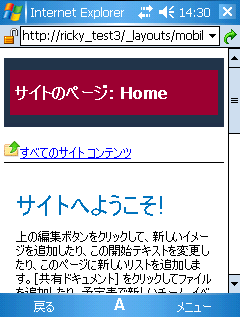 ホーム ページ内のカスタマイズされたヘッダー セクション