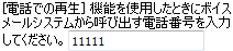 Outlook Voice Access - [電話での再生] 機能に使用する電話番号