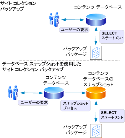 詳細なバックアップ/エクスポートのプロセス