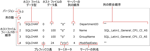 非 XML 形式ファイルのフィールドの指定