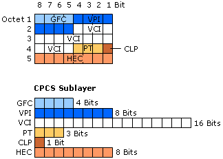 Cell Header Structure