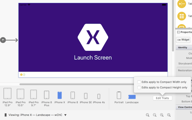 横向きを使用して iPhone X としてレンダリングされた起動画面