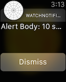 Long-Look インターフェイスに表示される AlertBody