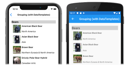 iOS および Android 上の CollectionView のグループ化されたデータのスクリーンショット