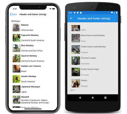 iOS および Android の CollectionView 文字列ヘッダーとフッターのスクリーンショット