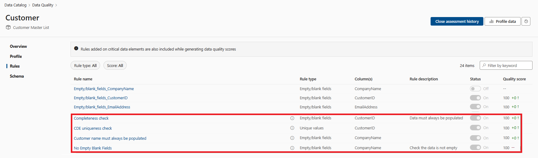 Screenshot of a data quality scan result showing the critical data element rules.