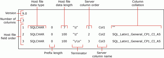 mytestskipcol 用の既定の XML 以外のフォーマット ファイルを詳しく示す図。