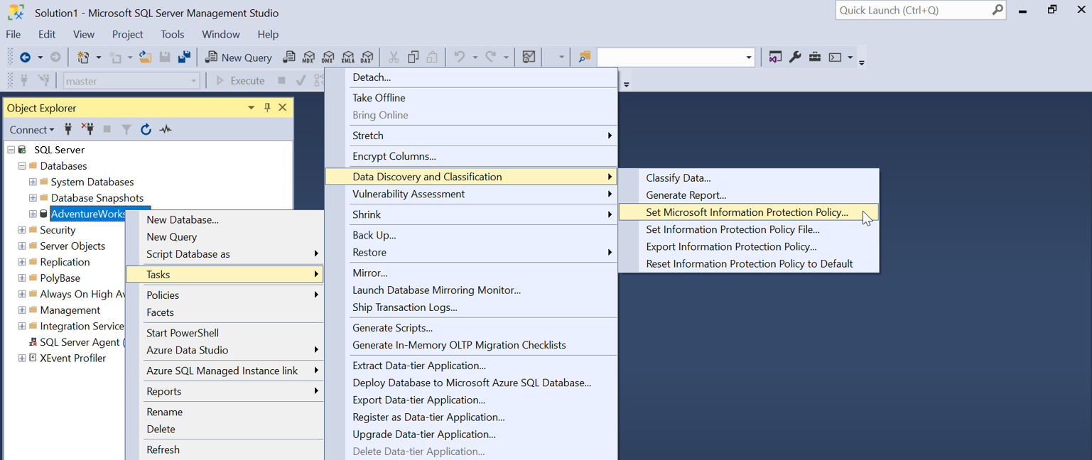 SSMS での Microsoft Information Protection ポリシーの設定のスクリーンショット