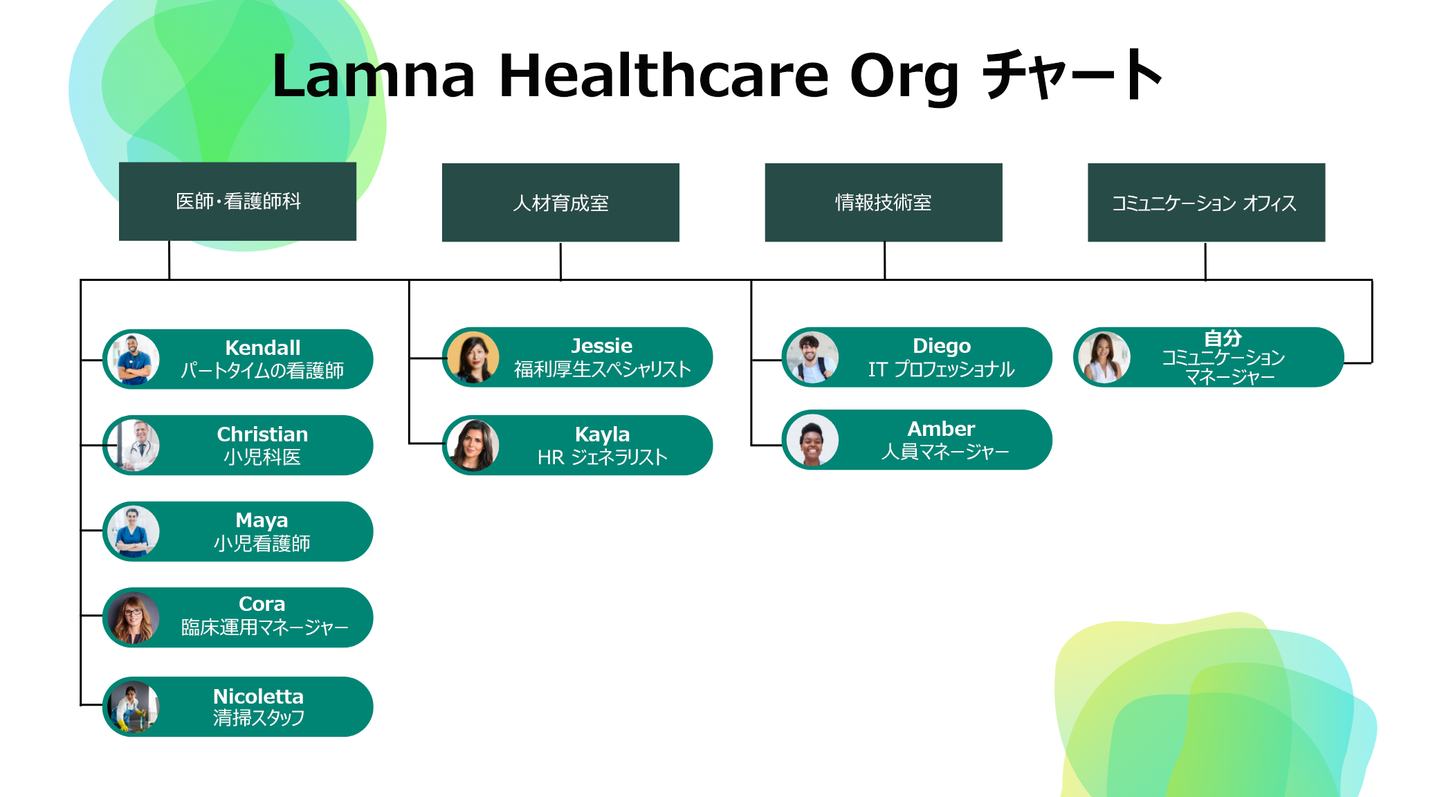 簡略化された Lamna 医療組織のグラフの図。