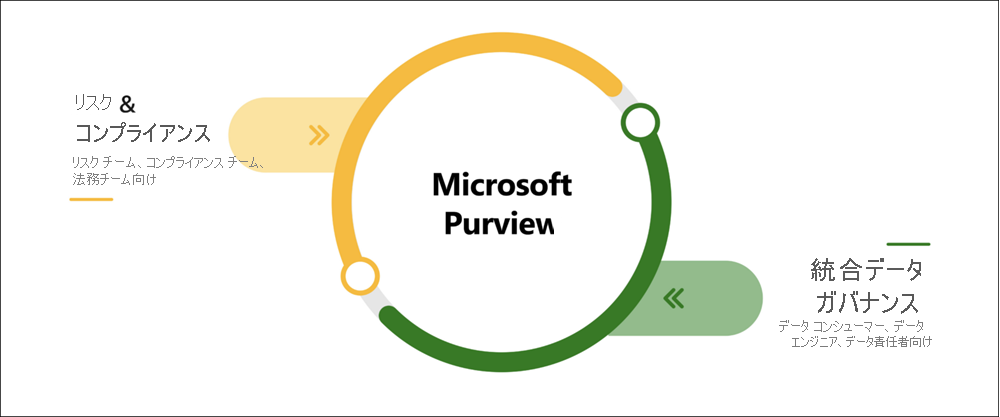 Illustration showing the main areas for Microsoft Purview.