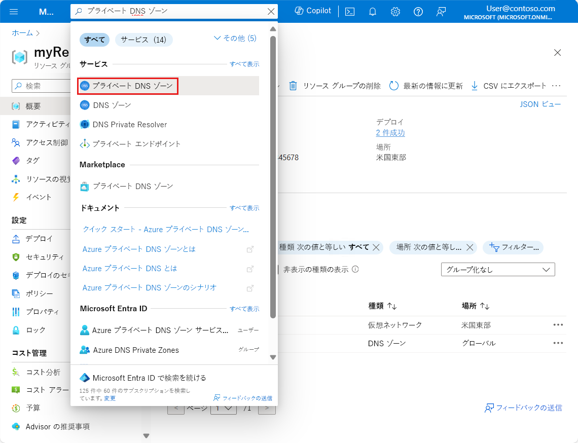 プライベート DNS ゾーン検索のスクリーン ショット。