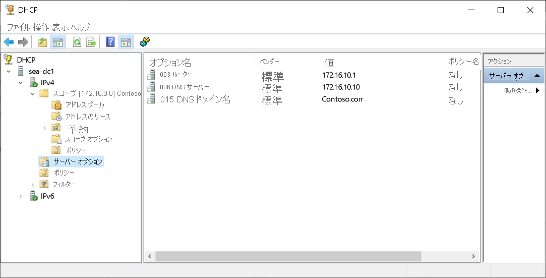 A screenshot of the DHCP console. The administrator has selected the Server Options node in the navigation pane. Three options are displayed: 003, 006, and 015.