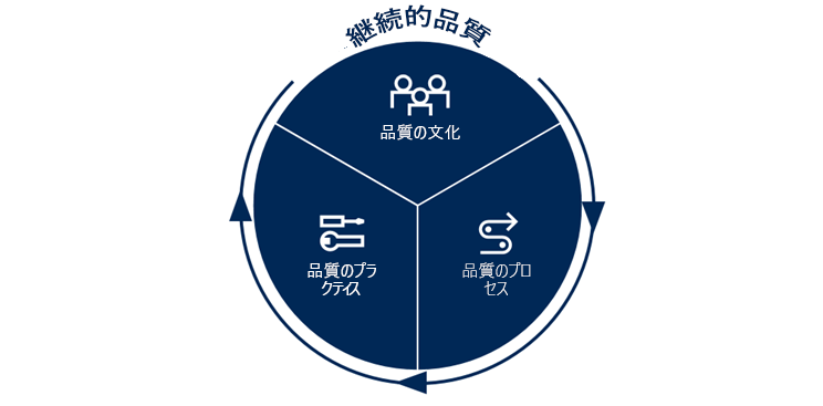 Diagram shows that Continuous Quality includes a quality culture, quality processes, and quality practice.