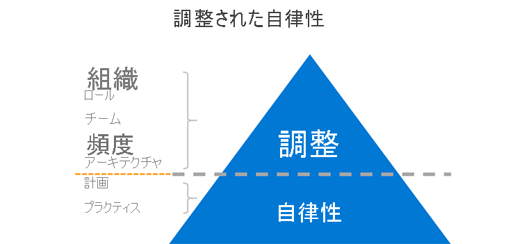 Diagram explains aligned autonomy: if you get the organization, roles, teams, cadence, and architecture in alignment, then the plans and practices can function autonomously.