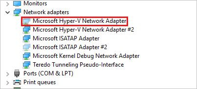 Microsoft Hyper-V ネットワーク アダプターがグレー表示されているネットワーク アダプターを示すスクリーンショット。