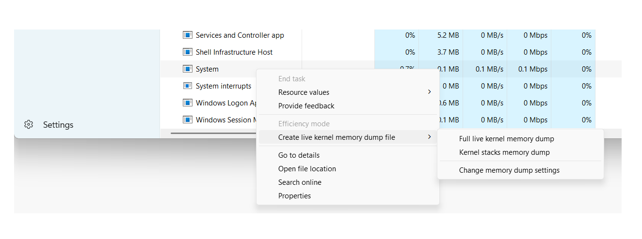 Screenshot of Task Manager live memory dump user interface.