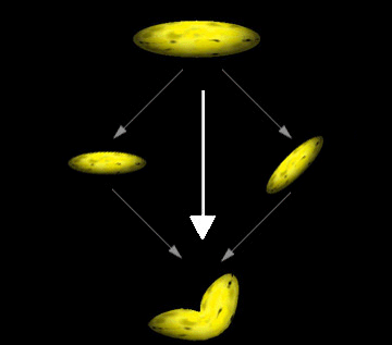 バナナテクスチャと2つのオブジェクトをブレンドするプロセスのイラスト