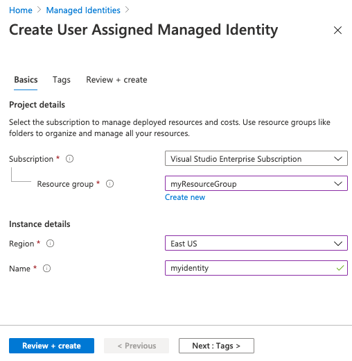 Azure Portal 사용자 할당 ID를 만드는 옵션의 스크린샷