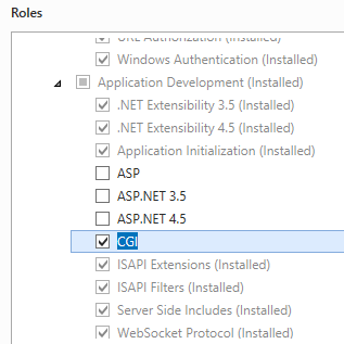 Windows Server 2012 인터페이스에서 선택한 C G의 스크린샷