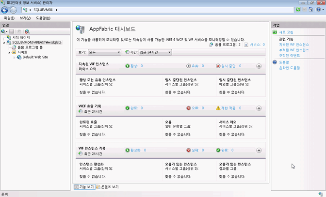 AppFabric 대시보드